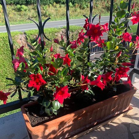 A Louer Appartement Dans Une Maison Arcangues Esterno foto